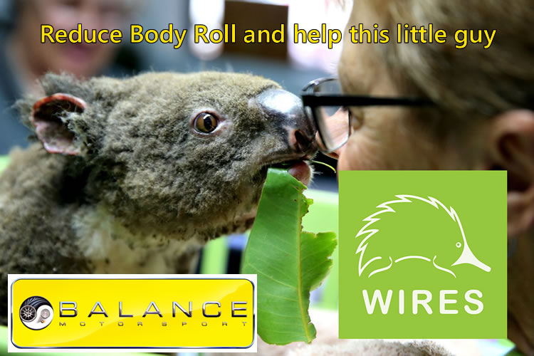 Balance Motorsport - Whiteline Bushfire Appeal - Koala